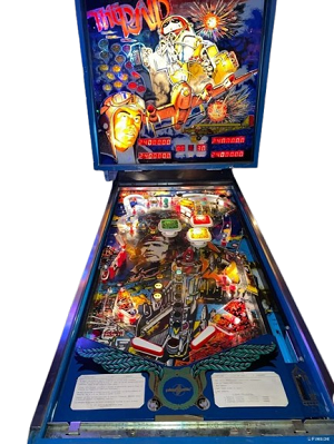 Farfalla Pinball Machine