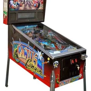 Cactus Canyon Pinball Machine